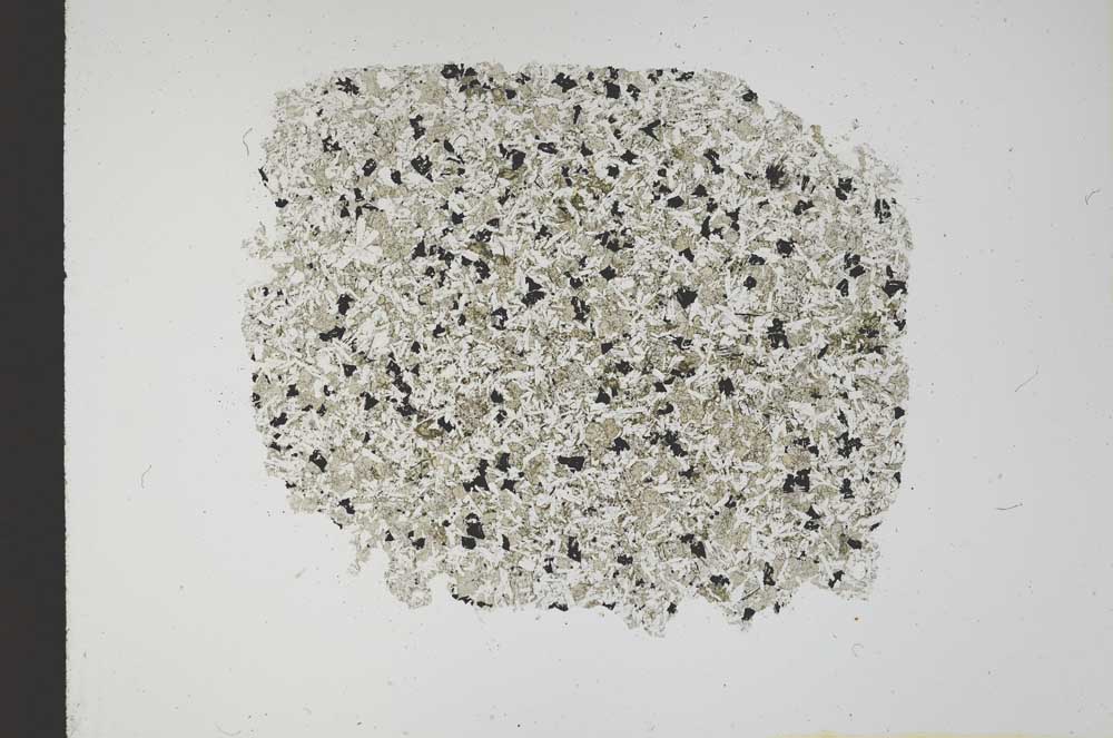 Plane Polarized, S12264