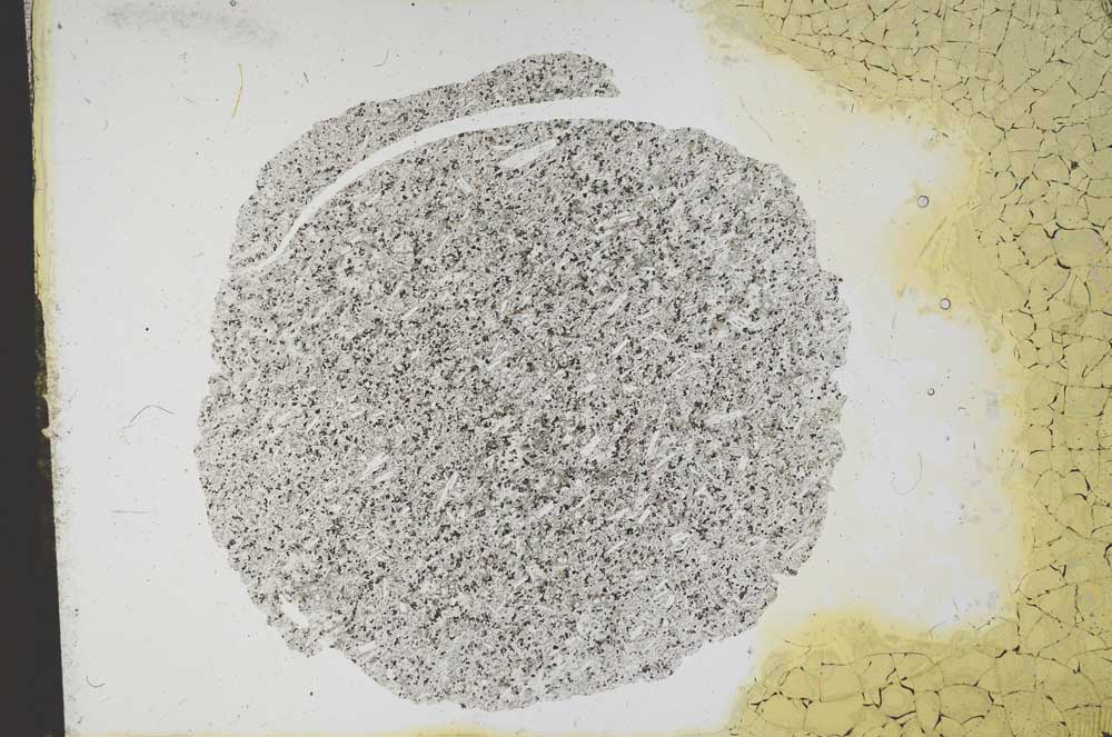 Plane Polarized, S12267