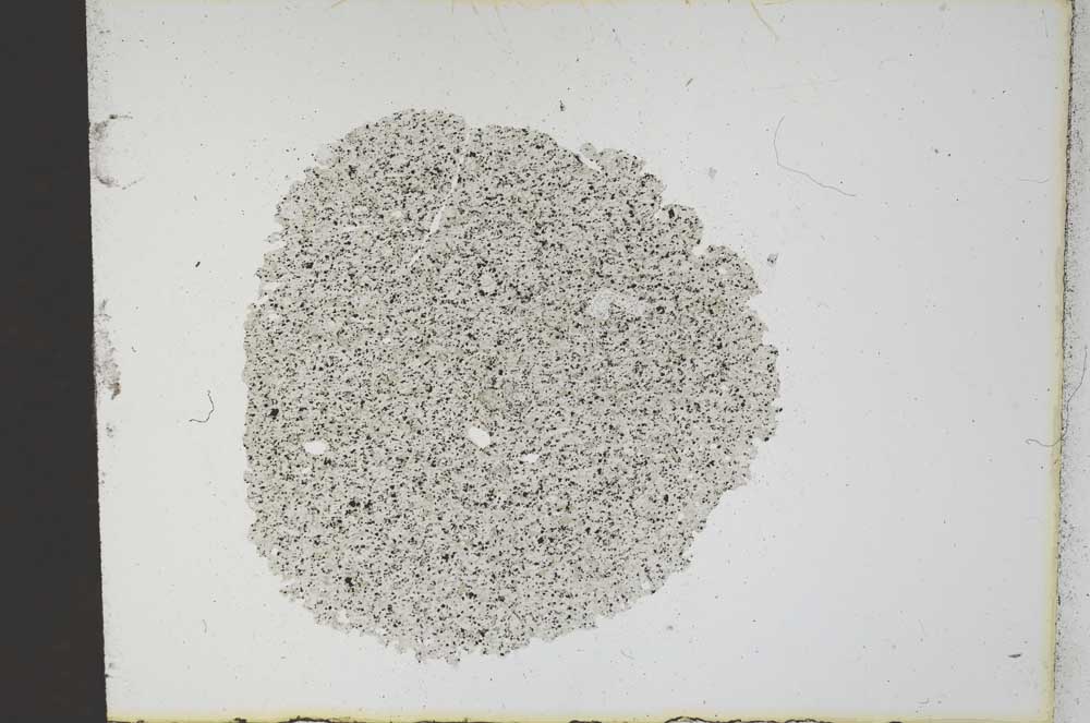 Plane Polarized, S12279