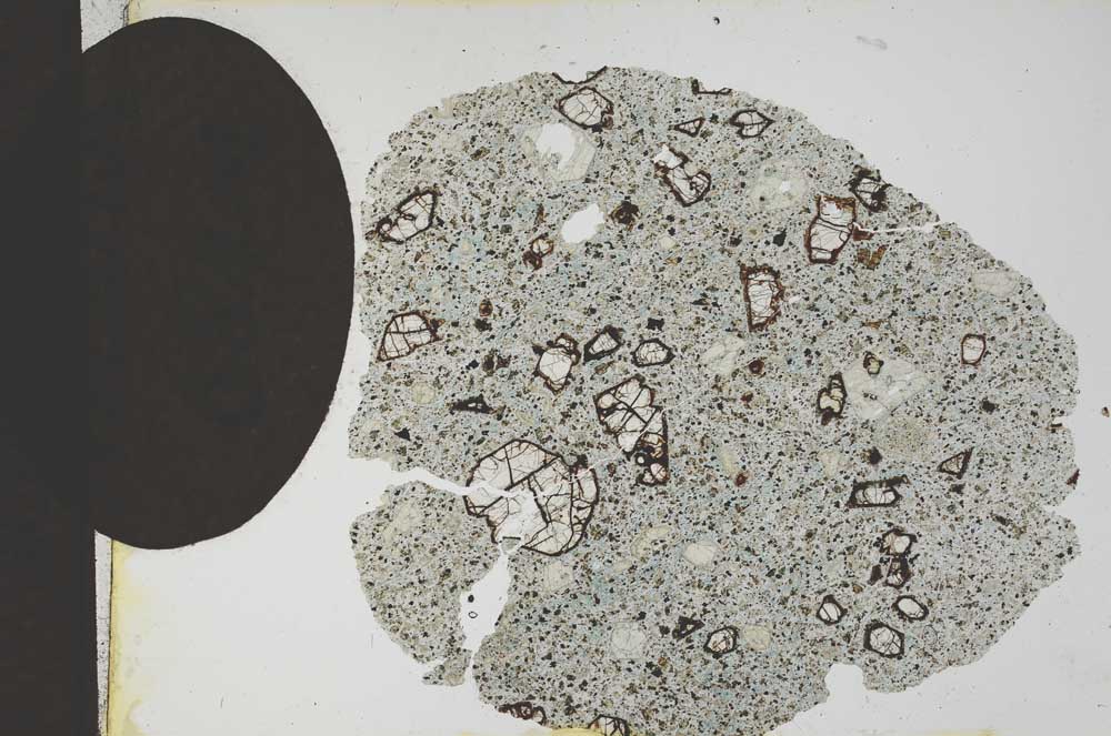 Plane Polarized, S12298