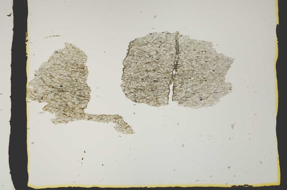 Plane Polarized, S2405