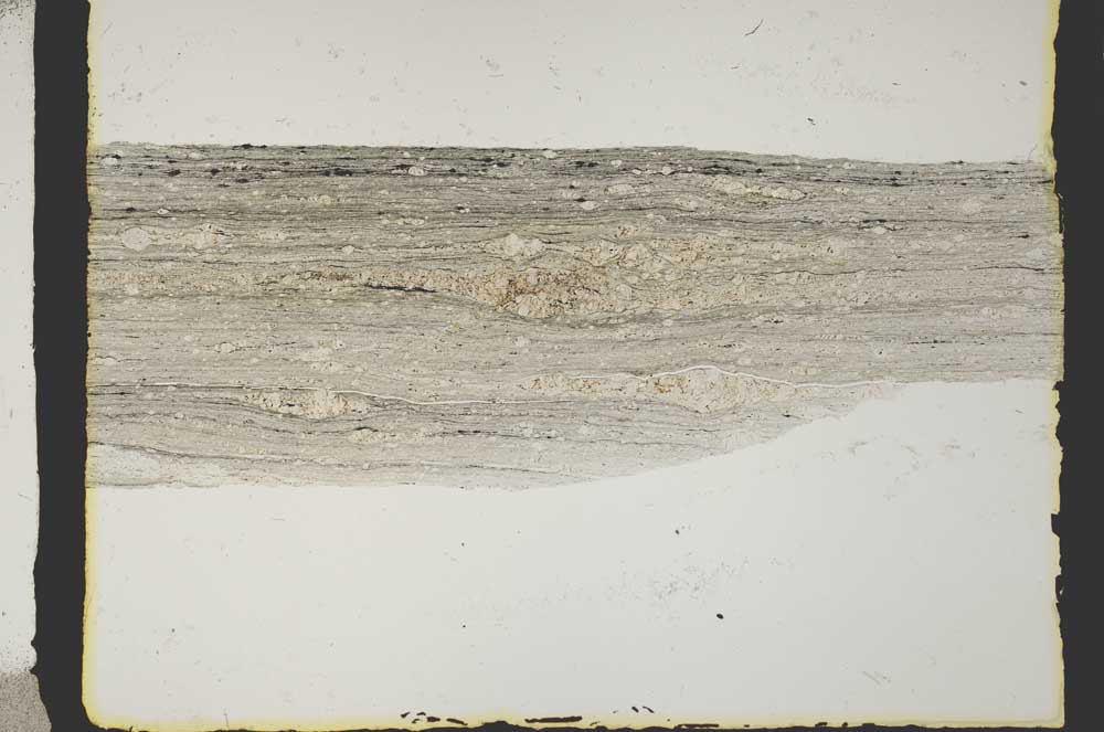 Plane Polarized, S2411