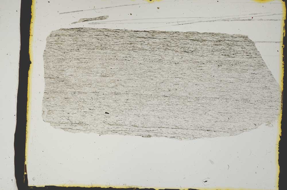 Plane Polarized, S2425