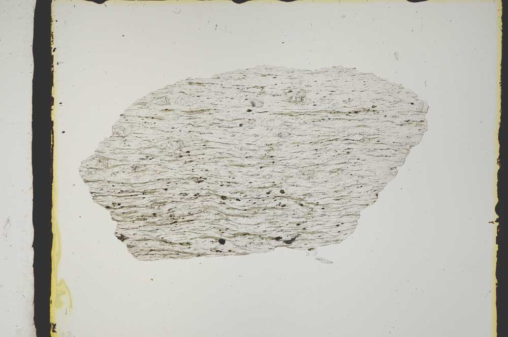 Plane Polarized, S2427