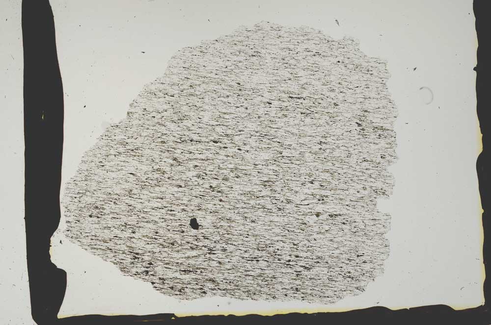 Plane Polarized, S2429