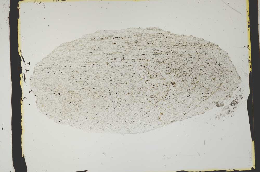 Plane Polarized, S2431
