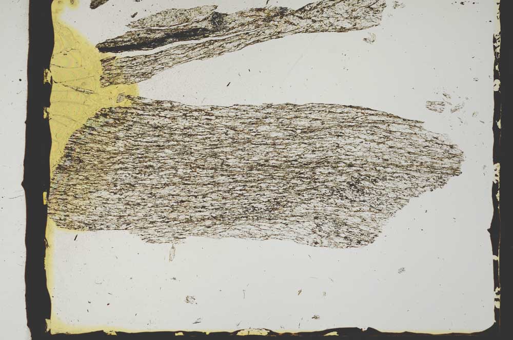 Plane Polarized, S2433