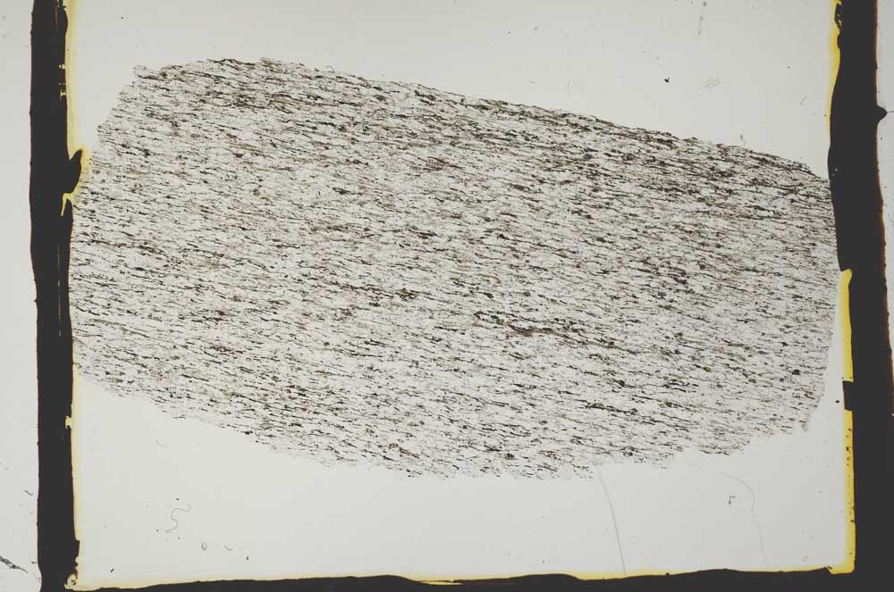 Plane Polarized, S2434