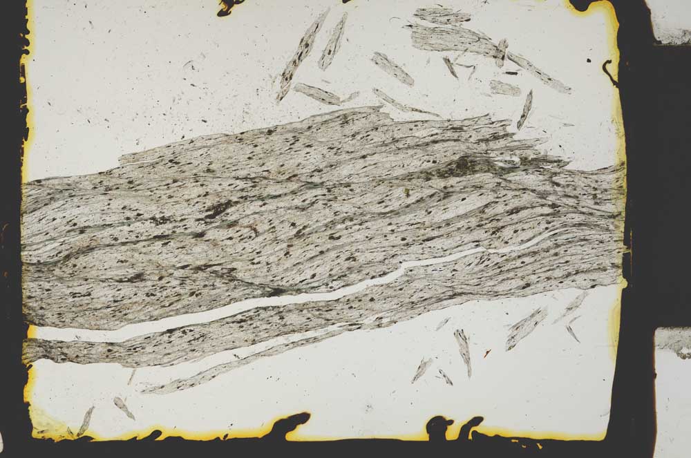 Plane Polarized, S2435