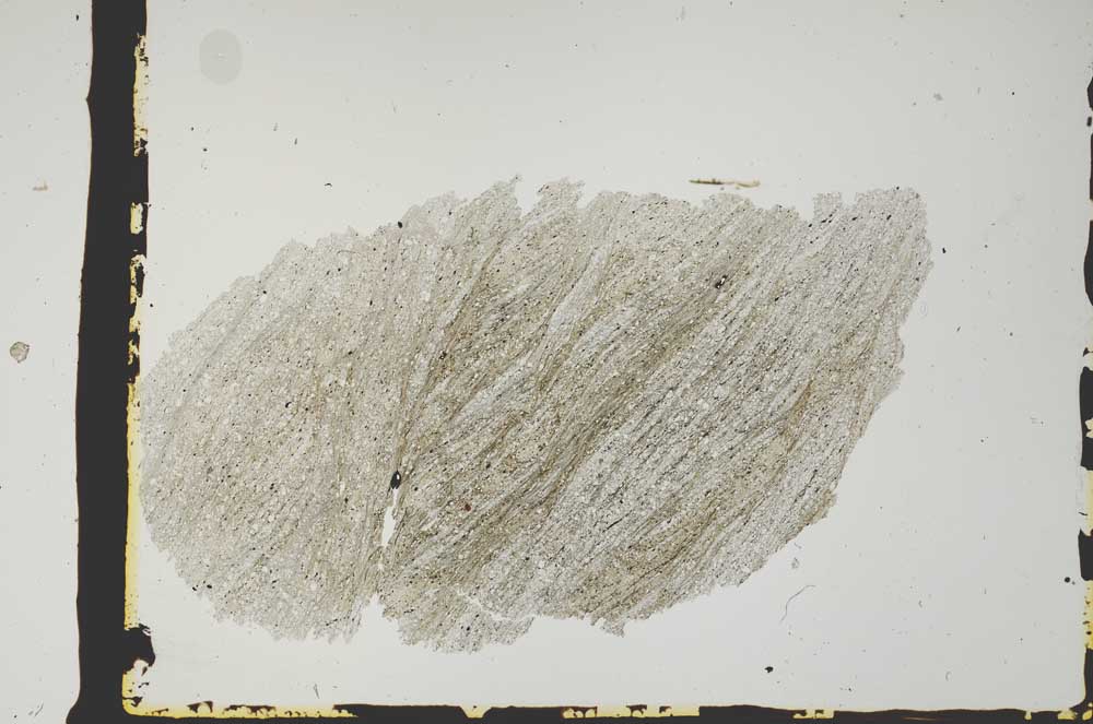 Plane Polarized, S2436