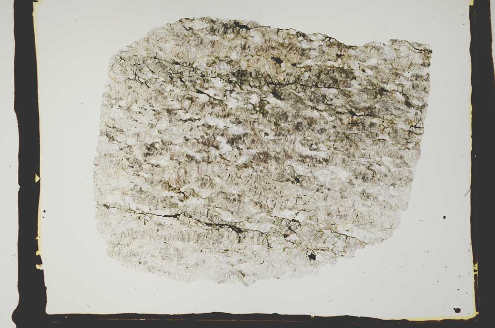Plane Polarized, S2437