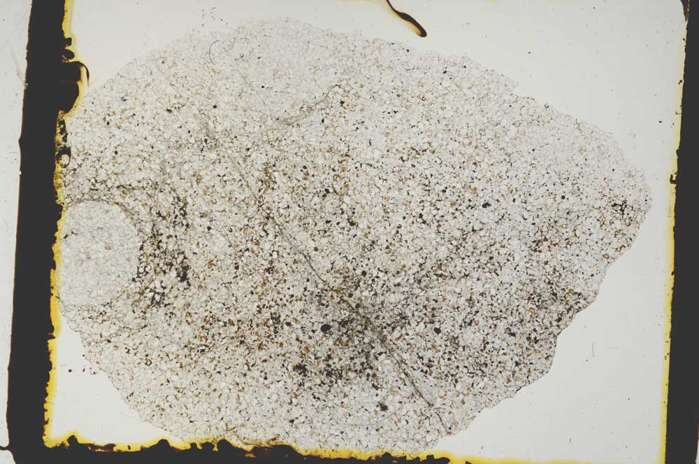 Plane Polarized, S2442