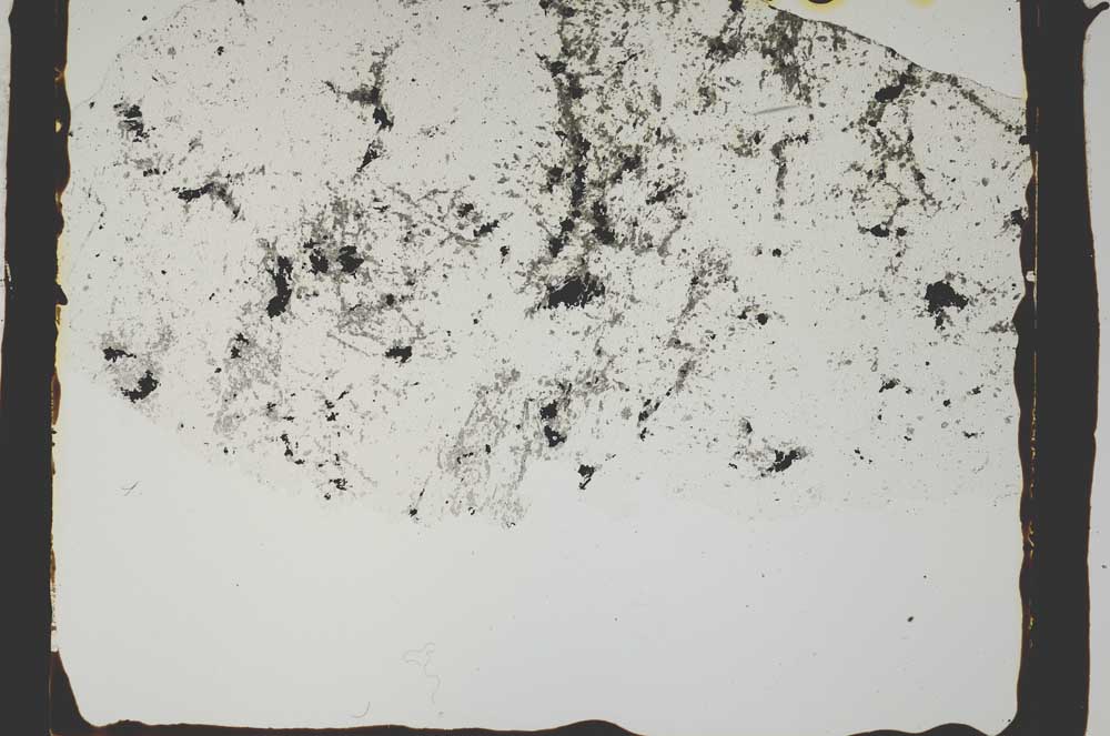Plane Polarized, S2444