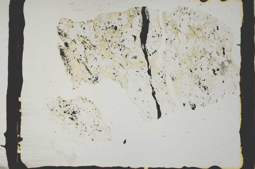 Plane Polarized, S2445