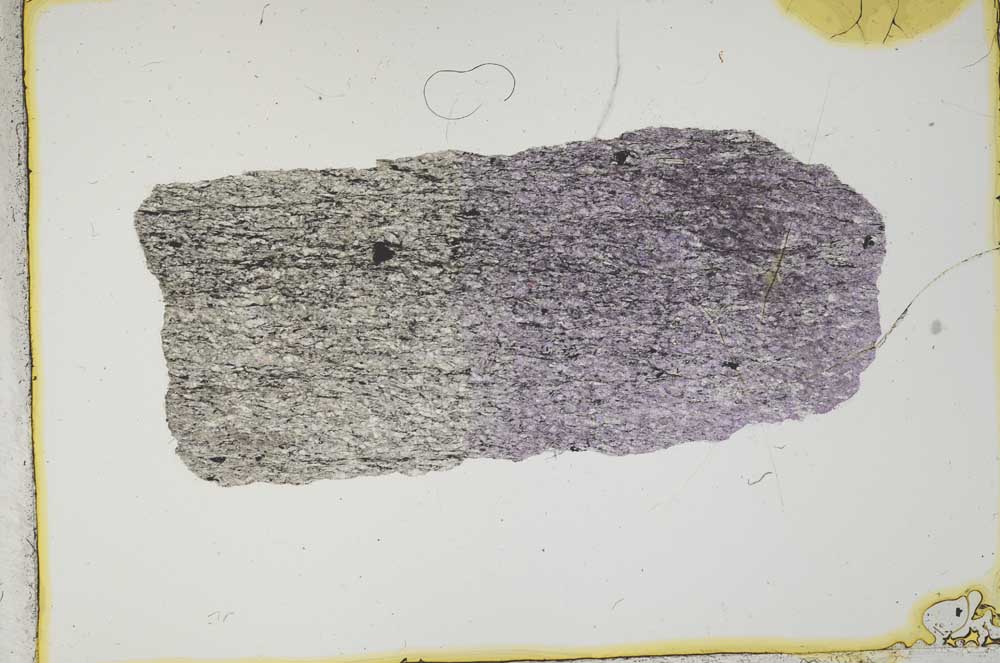 Plane Polarized, S2446