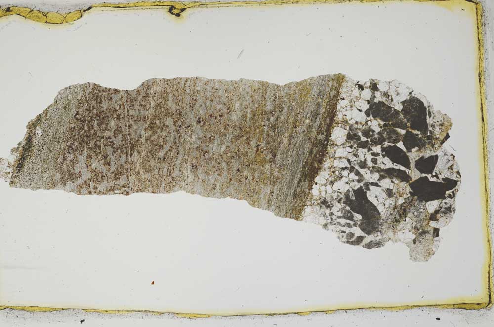 Plane Polarized, S2461