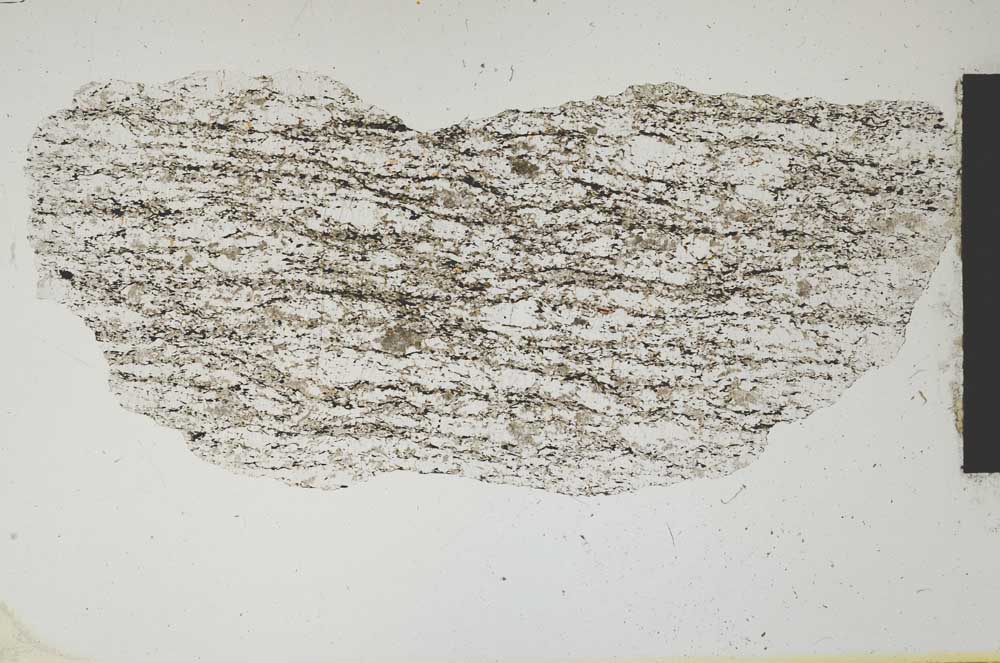 Plane Polarized, S2488