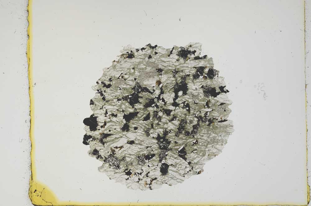 Plane Polarized, S2493