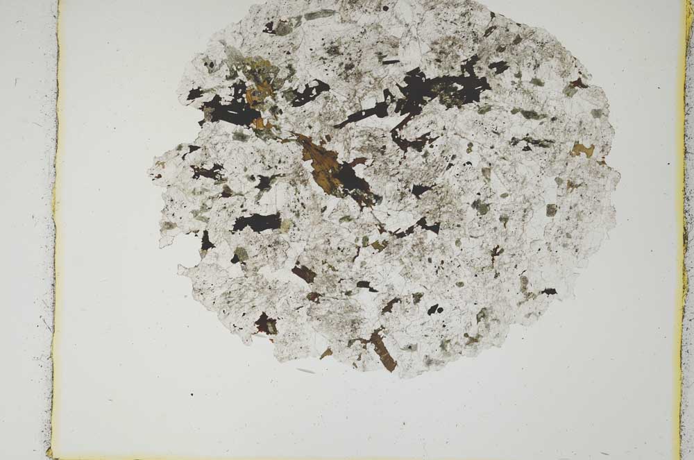 Plane Polarized, S2497