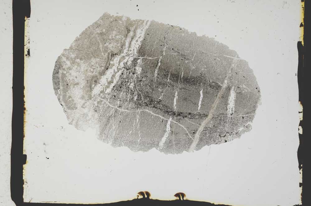 Plane Polarized, S2562