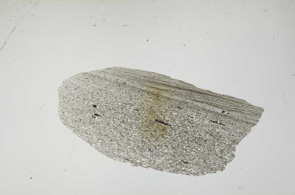 Plane Polarized, S2568