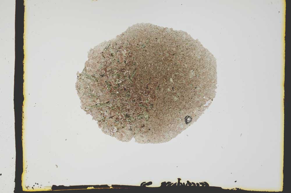 Plane Polarized, S2578