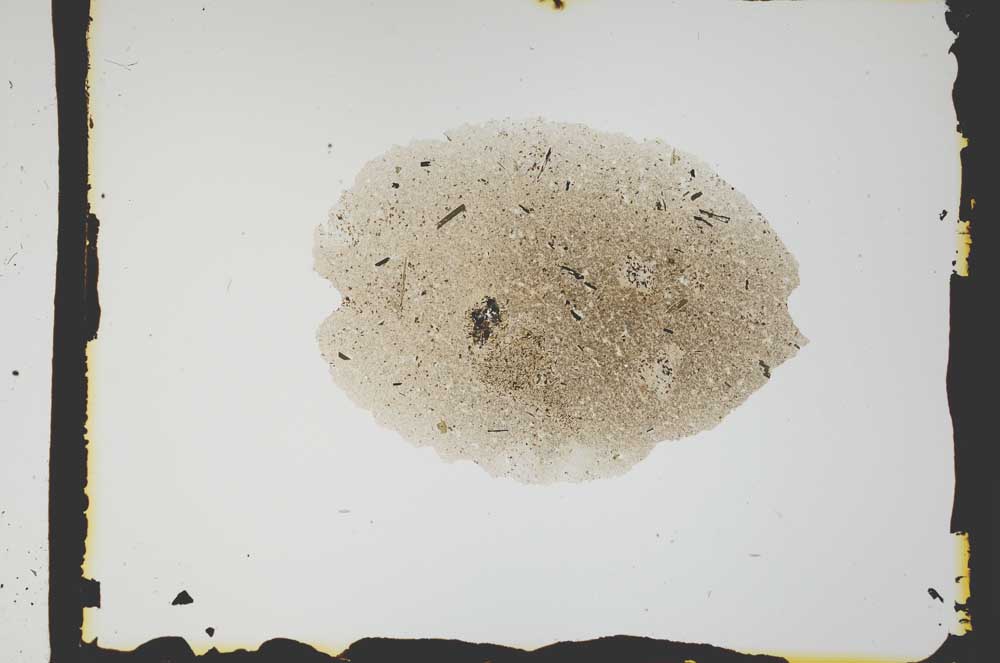 Plane Polarized, S2580