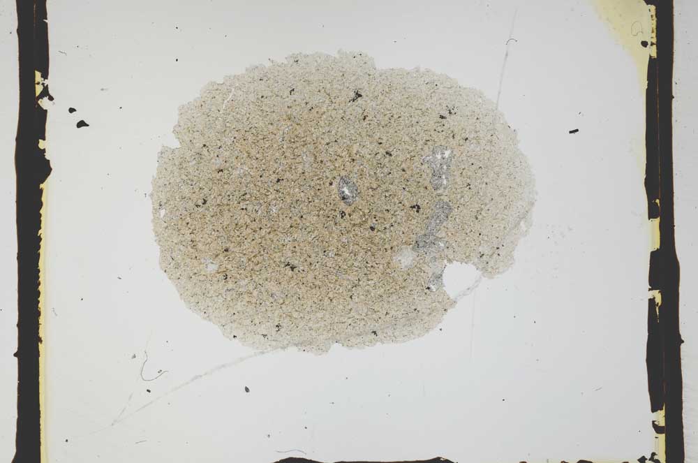 Plane Polarized, S2582