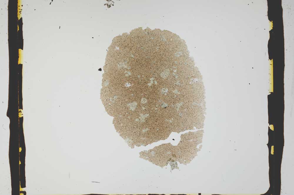 Plane Polarized, S2585
