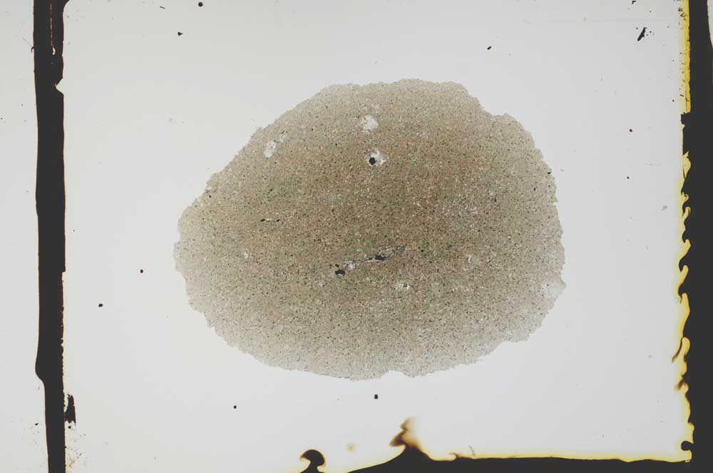 Plane Polarized, S2586