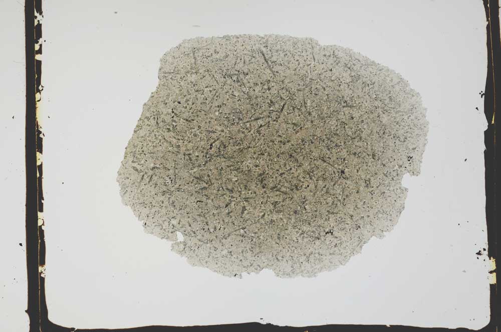 Plane Polarized, S2587