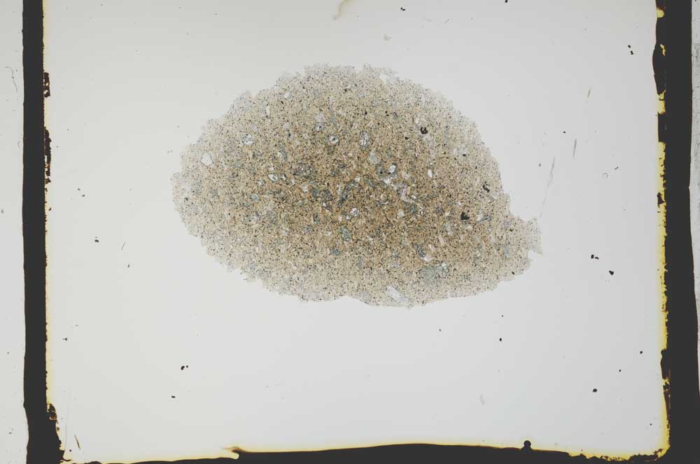 Plane Polarized, S2590