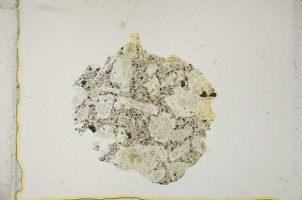Plane Polarized, S12307