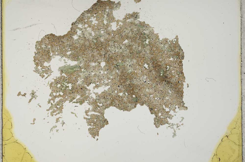 Plane Polarized, S12328