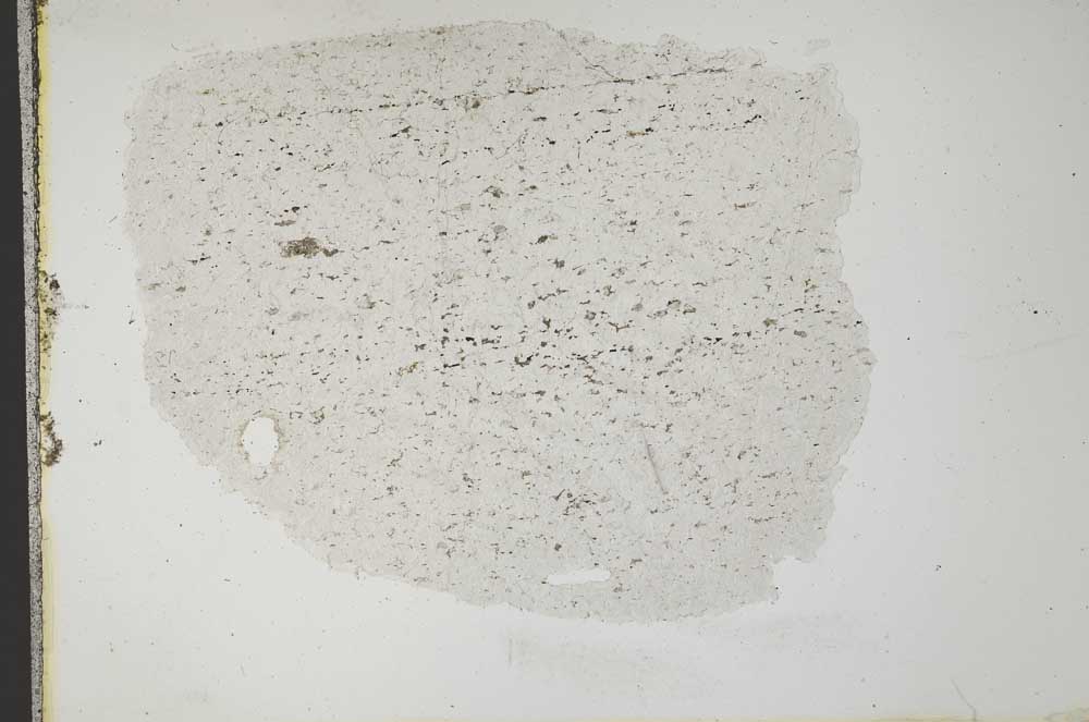 Plane Polarized, S12365