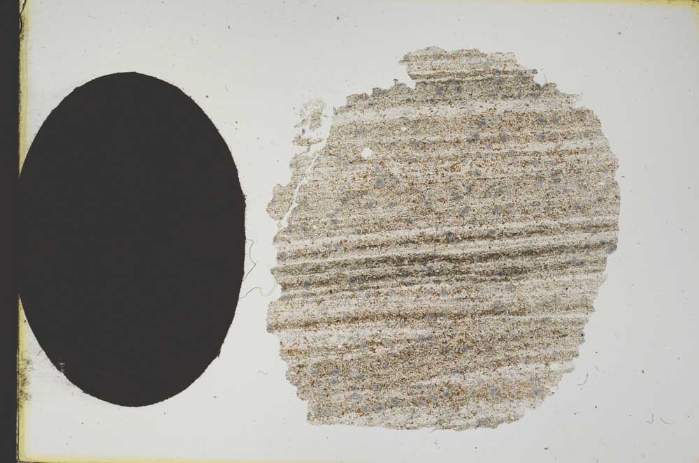 Plane Polarized, S12377