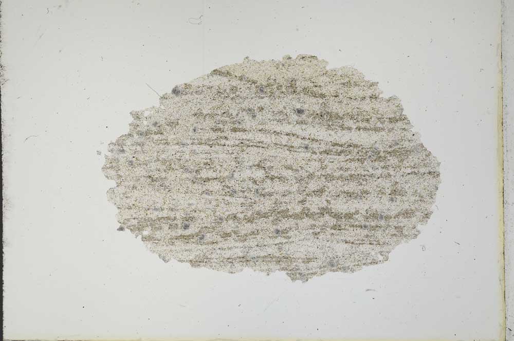 Plane Polarized, S12378