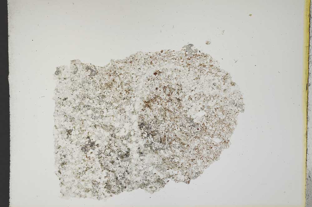 Plane Polarized, S12379