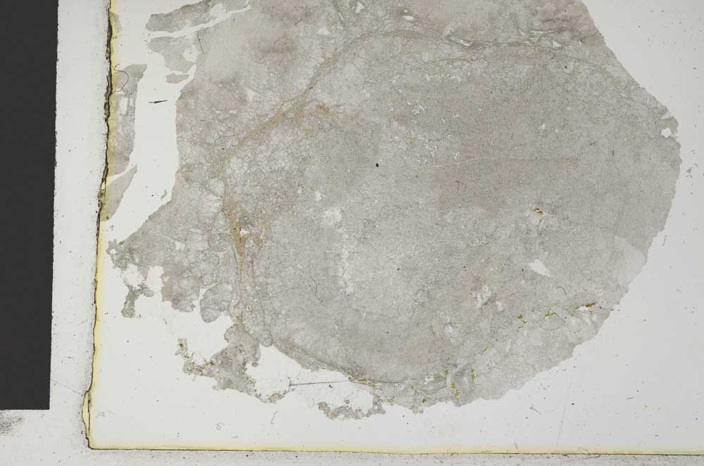 Plane Polarized, S12387