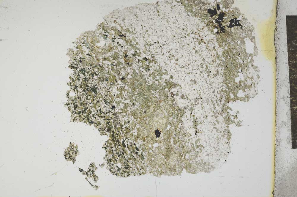 Plane Polarized, S12411