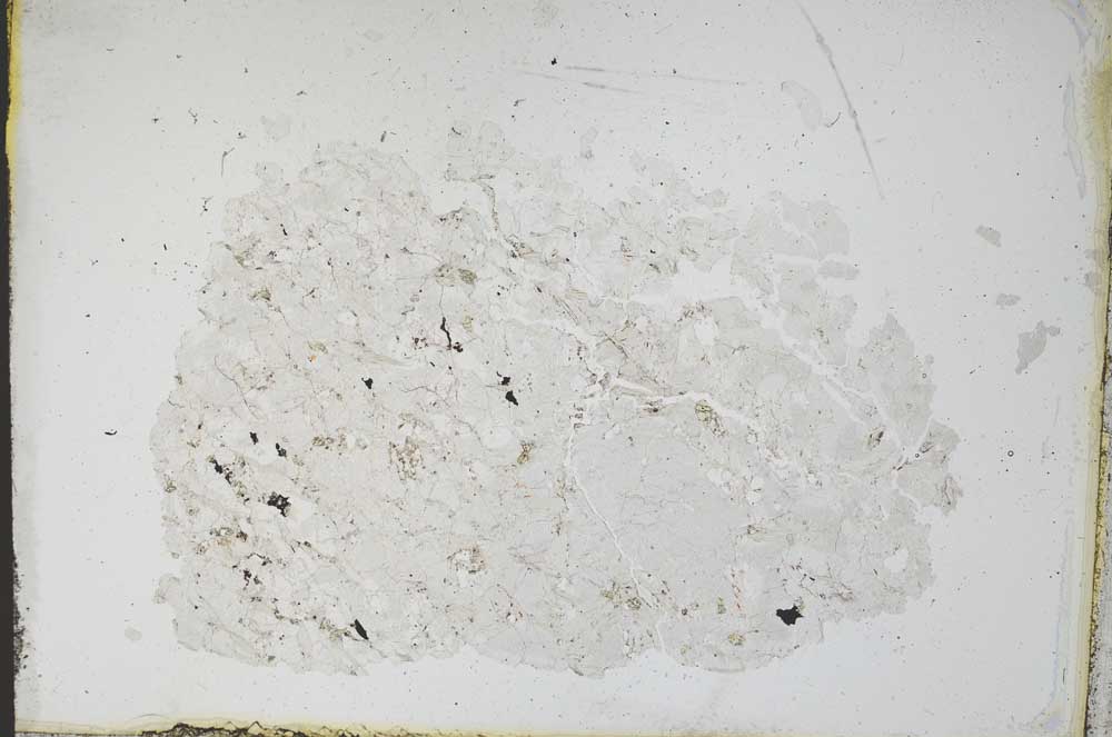 Plane Polarized, S12429