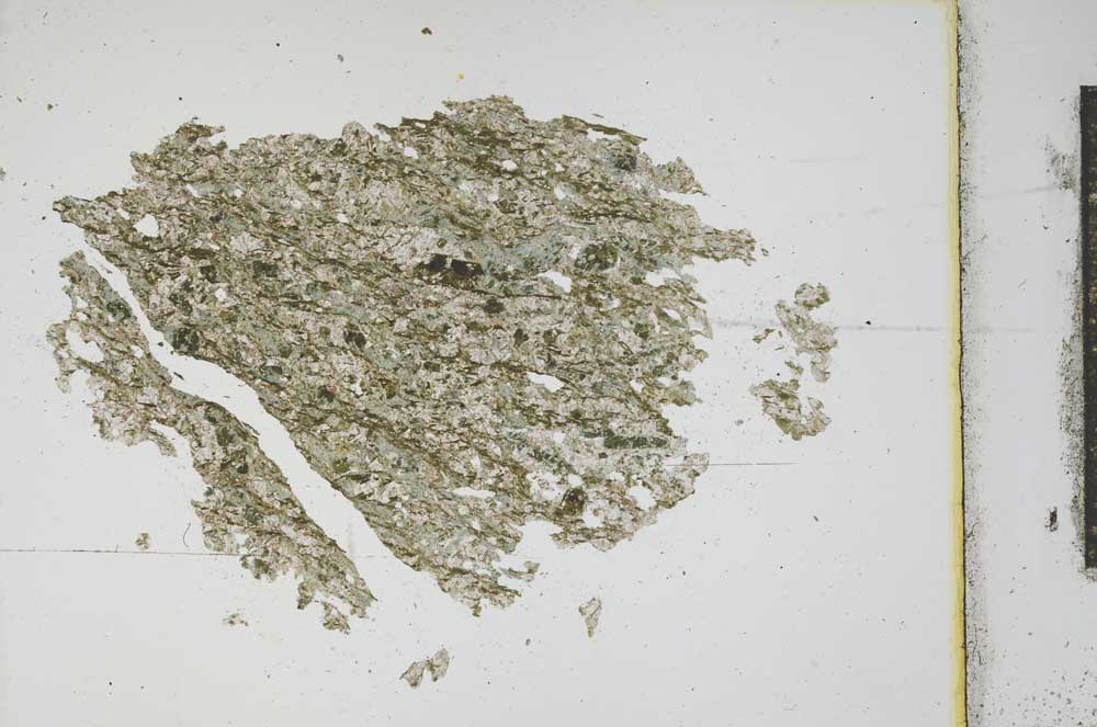 Plane Polarized, S12430