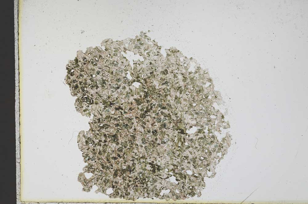 Plane Polarized, S12431