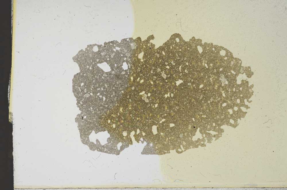 Plane Polarized, S12433