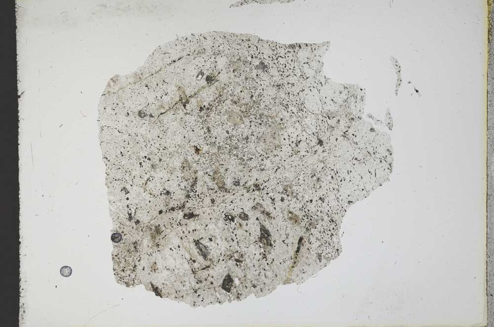 Plane Polarized, S12447