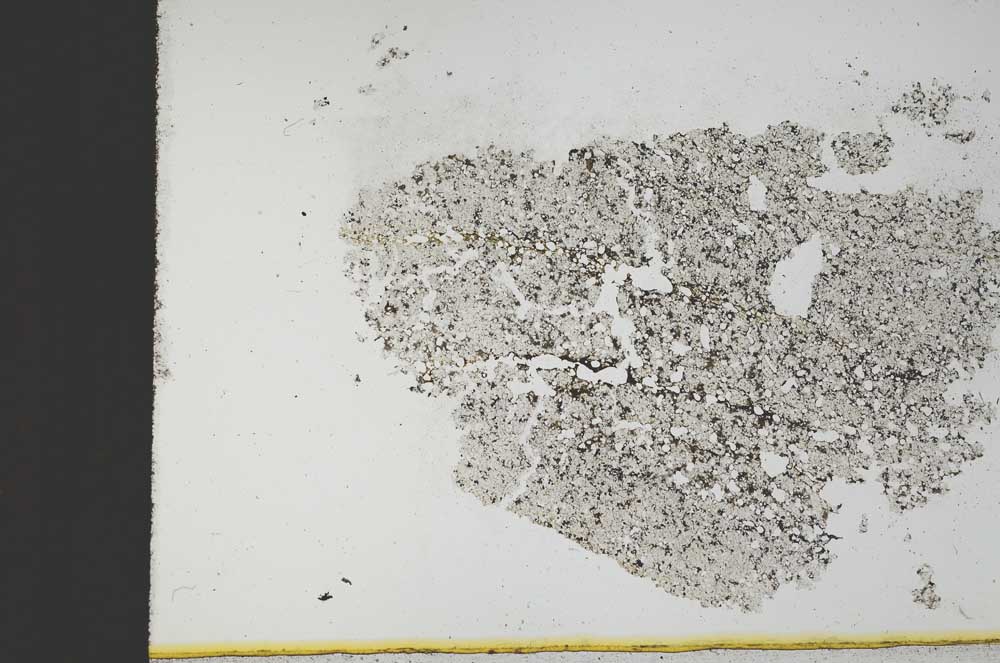 Plane Polarized, S12450