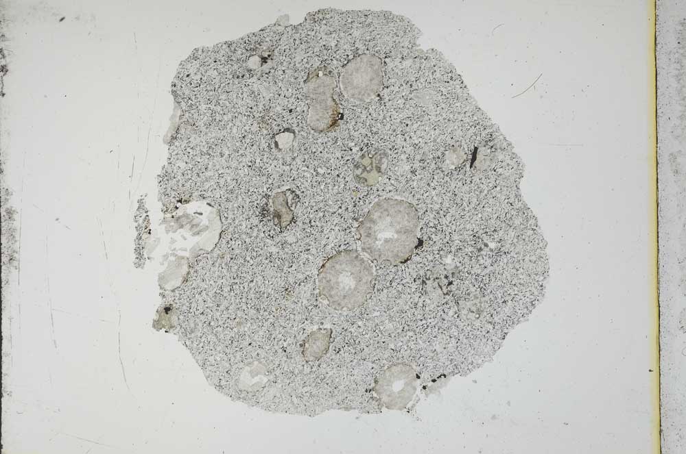 Plane Polarized, S12454