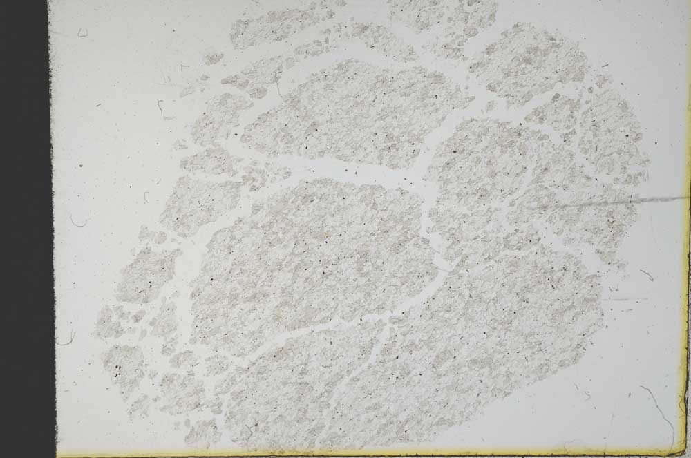 Plane Polarized, S12459