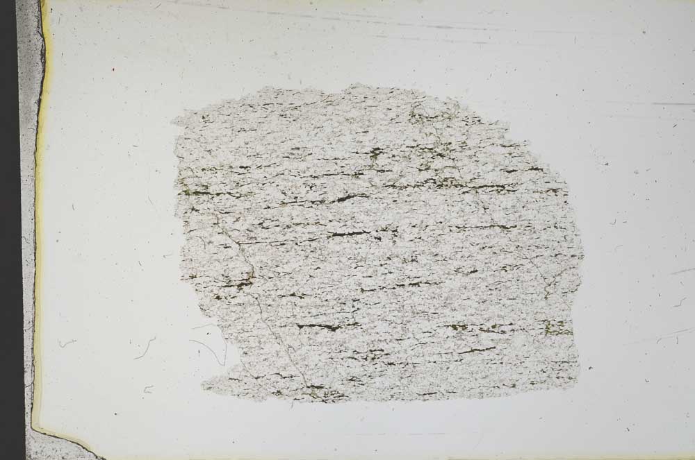 Plane Polarized, S12484