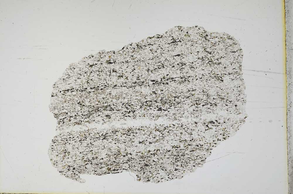Plane Polarized, S12497